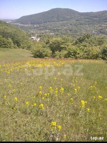 xacmazda torpaq: 60 соток, Для строительства, Собственник, Купчая — 1