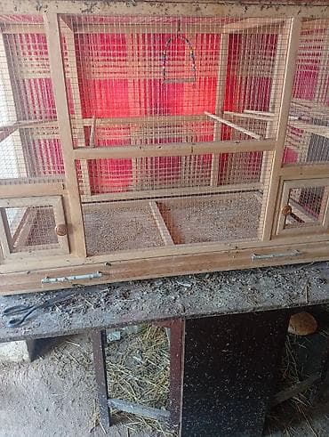 quslar: Taxta quş qəfəsi/volyer - Material: möhkəm taxta karkas, xırda gözlü — 1