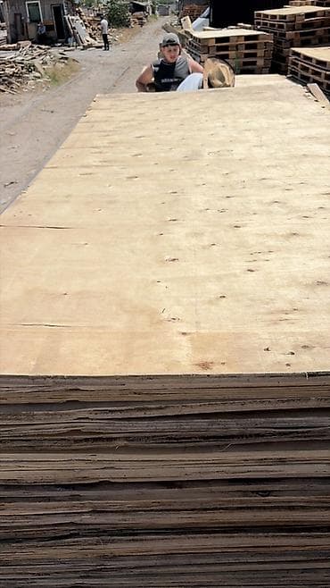 qapi taxta: Dikt,Fanera,taxta materialari – iri ölçülü — 4