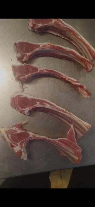 xadime axtarilir: Daimi Kababci lazim olsa zeng edin. Butun nov milli kabablari,vitrin — 4