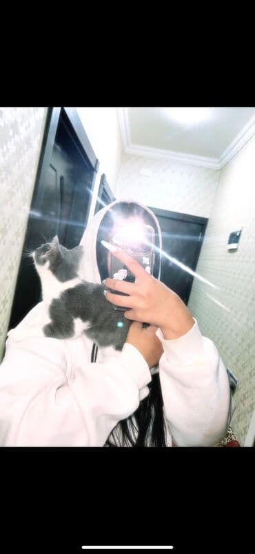 Şotland, Erkək, Yaxşı əllərə, Ünvandan götürmə, Pulsuz çatdırılma