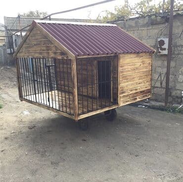 it yuvasi: It yuvasi — 3