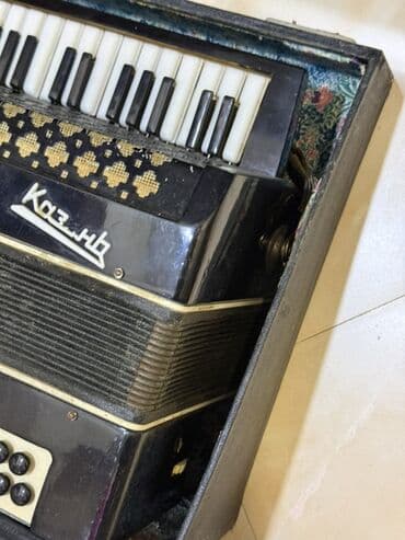 Pianolar: Akustik Akkordeon — 2