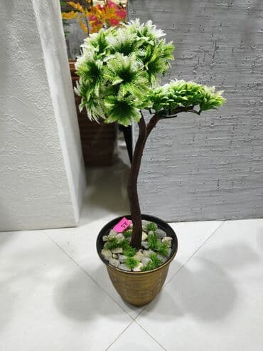 guldan: Süni dekorativ bitkilər – saksıda - Model 1: Top şəklində sıx — 2