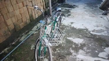 трехколесный велосипед взрослый: Б/у Городской велосипед Stels, 29", скоростей: 1, Бесплатная доставка — 2