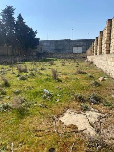 binə qəsəbəsi: 10 sot, Tikinti, Makler, Kupça (Çıxarış) — 12