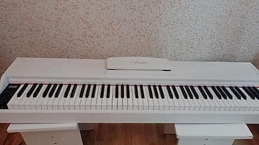 Piano Suita Ağ Rəqəmsal işlənmiş görünüşünə baxmayaraq, pianino tam