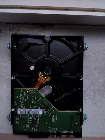 pc disk: Western Digital WD Caviar Blue daxili sərt disk (HDD) satılır. Əsas — 2