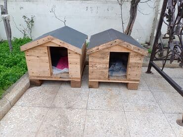 Pişik evi satılır
2 ev var. 2 sini alana 90 azn