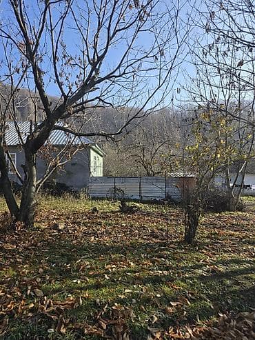 yari tikili: 6 sot — 2