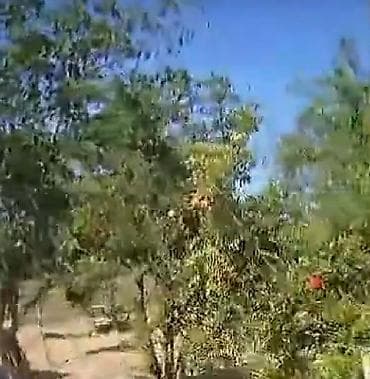 torpaq alıram: 6 sot, Tikinti, Mülkiyyətçi — 1