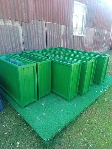 dekorativ bitkiler: Taxtalar ile ev, bağ, restoran, ofis, otel ve s. məkanlarınızın müasir — 2