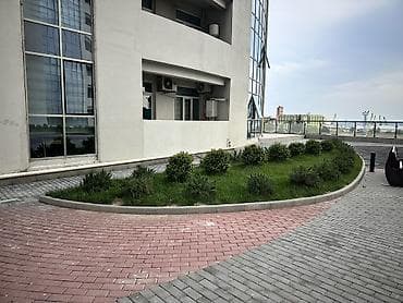 torf satilir: 1kvm = 2.90₼ • Azərbaycanın bütün bölgələrinə çatdırılma var. • Ucuz — 3
