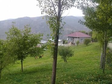 qara qarayev ev: 12 sot, Kupça (Çıxarış) — 2