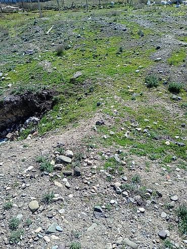 goy golde ucuz satılan evler: Tikinti, Mülkiyyətçi, Bələdiyyə — 5
