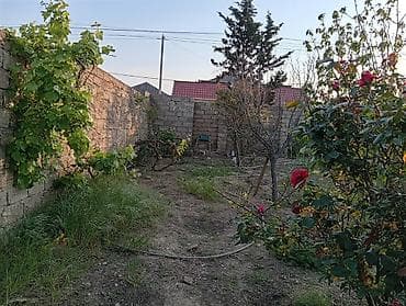 torpaa: Tikinti, Kupça (Çıxarış) — 8