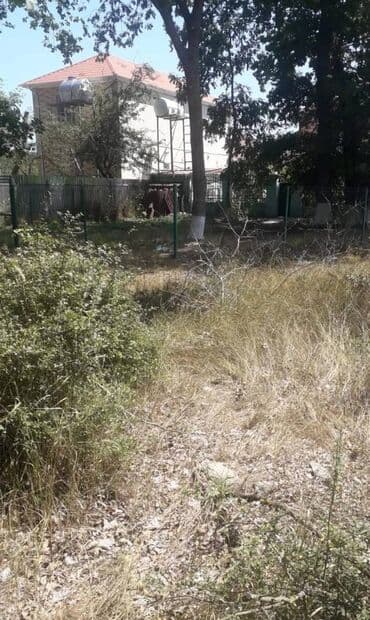 digah torpaq: 25 sot, Kənd təsərrüfatı, Makler, Kupça (Çıxarış) — 3