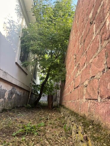 kiraye ev azadliq metrosu: 13 sot İşıq — 29