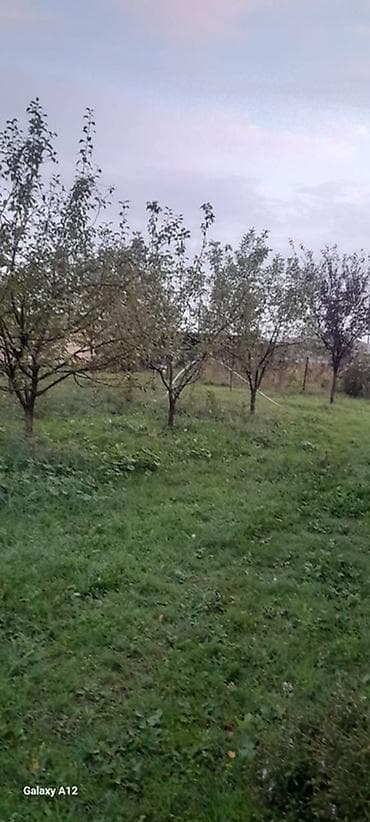 nardaran torpaq satilir: 6 sot, Tikinti, Maklerlər narahat etməsin, Kupça (Çıxarış) — 6