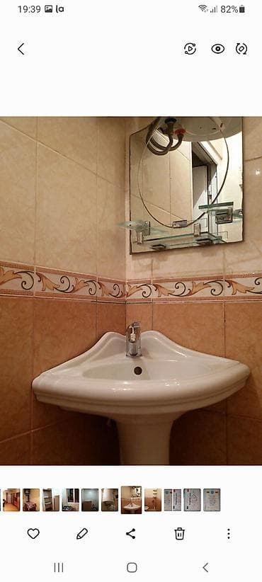 Çanaqlar, tülpanlar