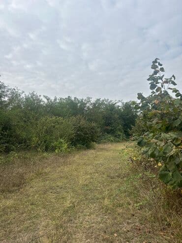 qubada torpaq satilir 2020: 110 sot, Tikinti — 4