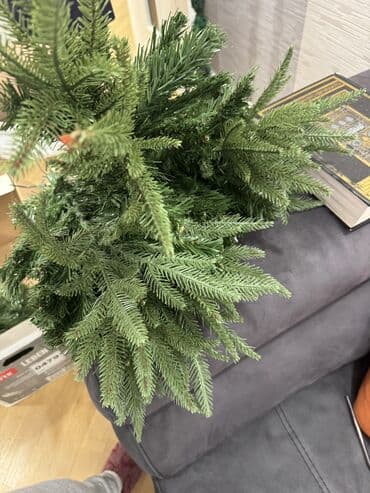 şam satışı: Məhsul: Yeni il şam ağacı Təsvir: - Hündür, sıx budaqlı şam ağacı — 4