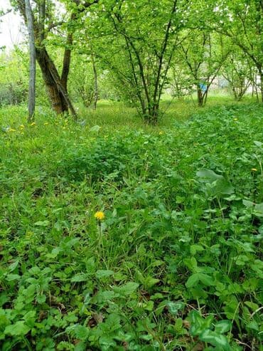 mehtabatda torpaq satilir: 32 sot, Mülkiyyətçi, Kupça (Çıxarış) — 12