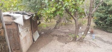 xırdalan kiraye evler: 13 sot, Tikinti, Mülkiyyətçi, Bələdiyyə — 9