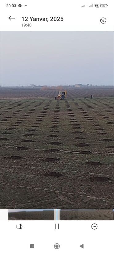 фольксваген джетта 6: Traktor Belarus (MTZ) 89, 2009 il, 89 at gücü, motor 1.7 l, İşlənmiş — 2