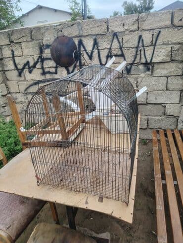 dovşan üçün qəfəs: Salam qefes 50 50 yədi isdiyene 5 manat kecilecey suvalandadi — 2