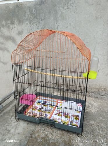 elf bar en ucuz: Qefes 15.45 azn yeke iri qefeslerdi balacada var Tezedi Qəfəs — 3