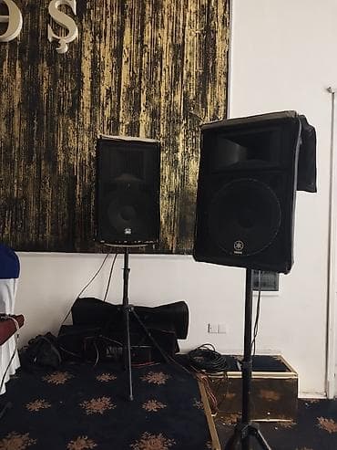 ucuz ps5: Peşəkar səsyazma və səhnə üçün tam akustik sistem 2 Yamaha kalomkada — 7