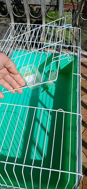 Heyvanlar üçün mallar: Geniş heyvan qəfəsi, hun - 40 sm, eni - 48 sm, uzu - 85 sm — 4