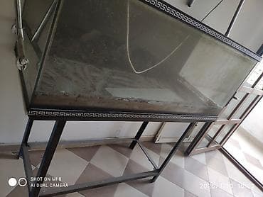 akvaryum aksesuarları: Dördbucaq akvarium, Boş, 500 l, Ünvandan götürmə — 3