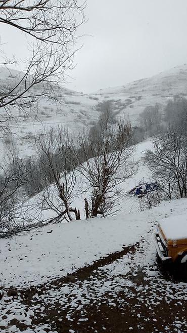 семейные общежития: Ekoturizm kənd həyatı təcrübəsi – dağ kəndində ailəvi istirahət — 1