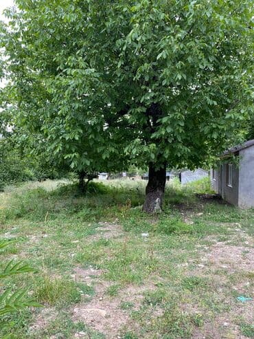 memar ecemi kiraye ev: Tikinti, Mülkiyyətçi — 7