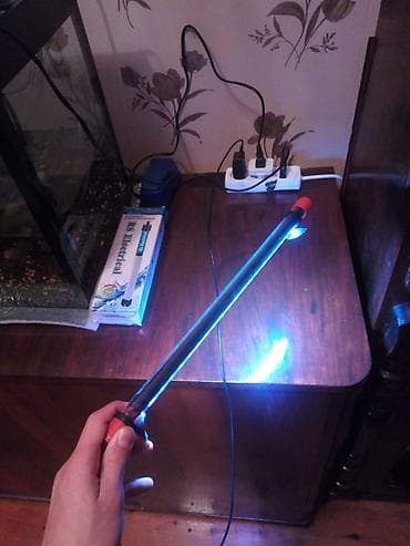 deniz qurdu satisi: Akvaryum dəsti – tam işlək komplekt Xüsusiyyətlər və tərkib: - Şüşə — 3