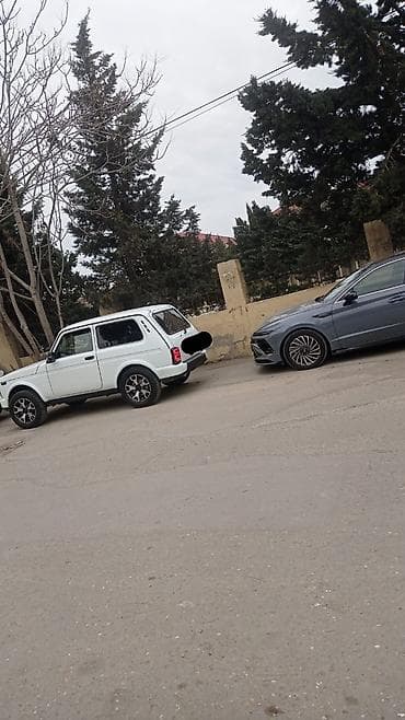 ВАЗ (ЛАДА): ВАЗ (ЛАДА) 4x4 Нива: 1.7 л | 2015 г. 187000 км Внедорожник — 9