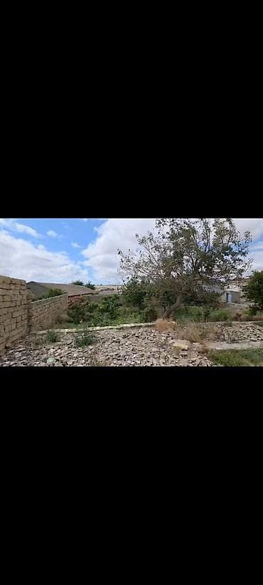 topaq: 3 sot, Tikinti, Mülkiyyətçi, Kupça (Çıxarış) — 1