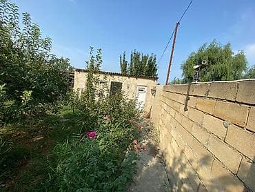 suraxani torpaq satilir: 8 sot, Tikinti, Kupça (Çıxarış) — 4