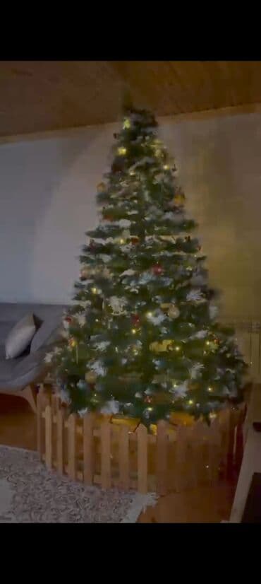 taxta 5 20: Yolka satilir Qiymet 200 man Hundurluyu 230-240 sm 1 ildi alinib — 3