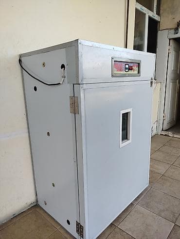 Konteynerlər: Tam avtomat — 1