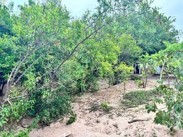 дачи в аренду посуточно: Баку, Пос. Паршаги, 100 м², 6 комнат — 9