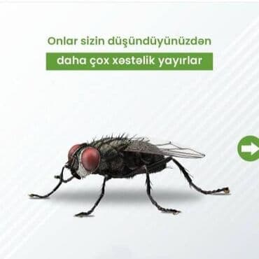 xalca yuma 1 50 azn 2023: Dezinfeksiya, dezinseksiya | Nəqliyyat — 8