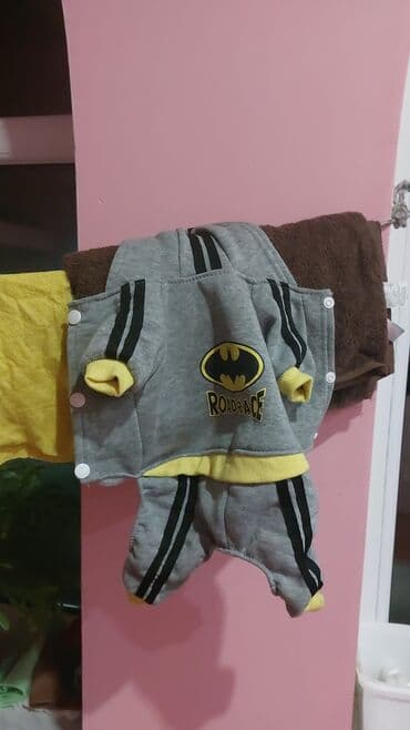 pişik geyimi: It ucun geyim — 3