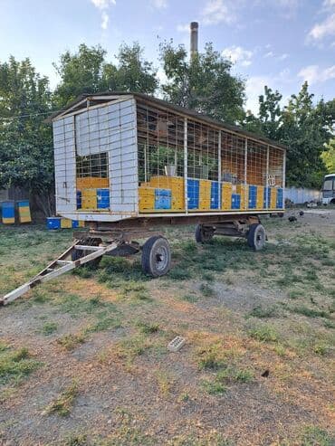 maşın üçün qoşqu: Ari uçun yixlmisdi tam saz veziyetdedi — 5