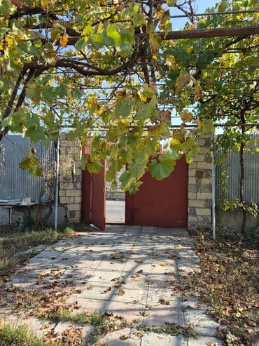 8 sot, Mülkiyyətçi, Kupça (Çıxarış), Texniki pasport