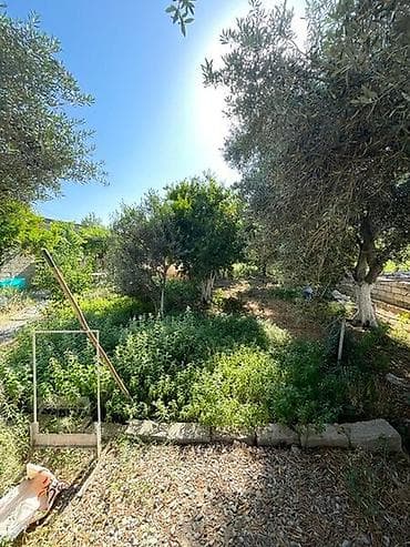 6 sot, Tikinti, Mülkiyyətçi, Kupça (Çıxarış) — 1