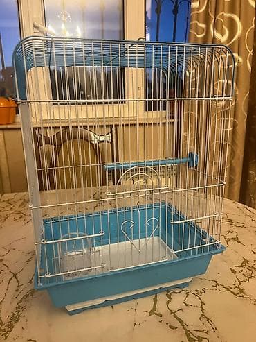 qefes: Quş qəfəsi – kiçik və orta ölçülü ev quşları üçün - Rəng: mavi — 1