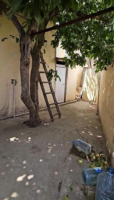 finisqi evler: 3 otaqlı, 60 kv. m, Kredit yoxdur, Orta təmir — 10